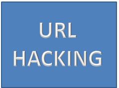 Salesforce URL Hacking