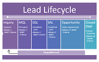 Salesforce Lead Process